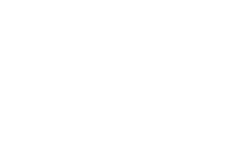 SexToyZine footer logo